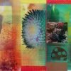 CACTI GARDEN 11 by David Ferry (SOLD)