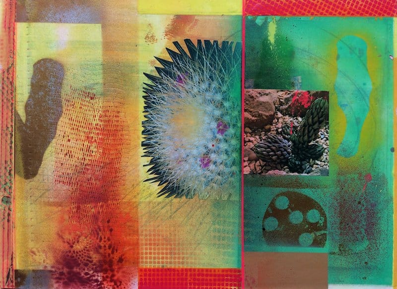 CACTI GARDEN 11 by David Ferry (SOLD)