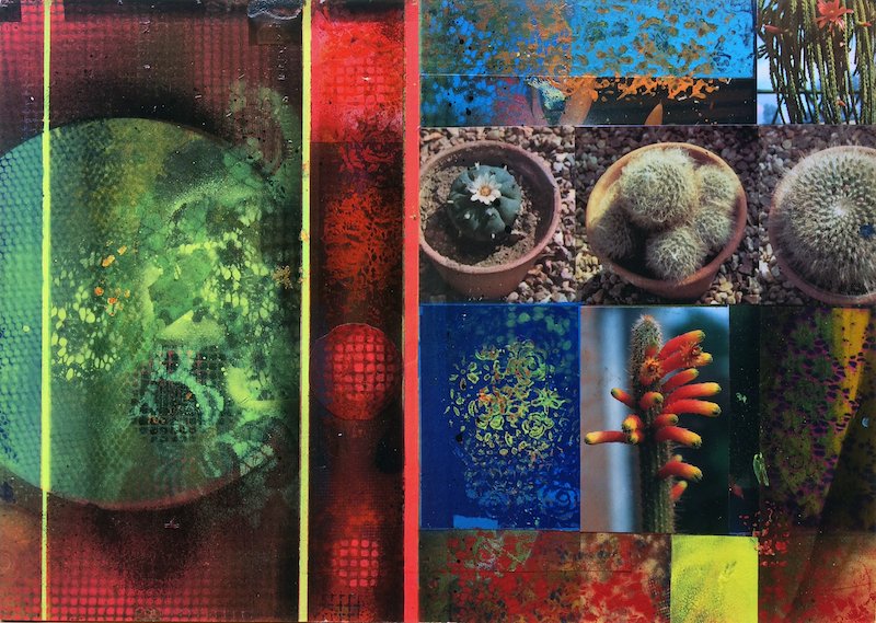 CACTI GARDEN 12 by David Ferry