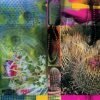 CACTI GARDEN 16 by David Ferry