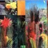 CACTI GARDEN 17 by David Ferry
