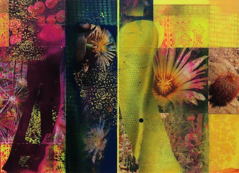 CACTI GARDEN 2 by David Ferry