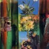 CACTI GARDEN 5 by David Ferry