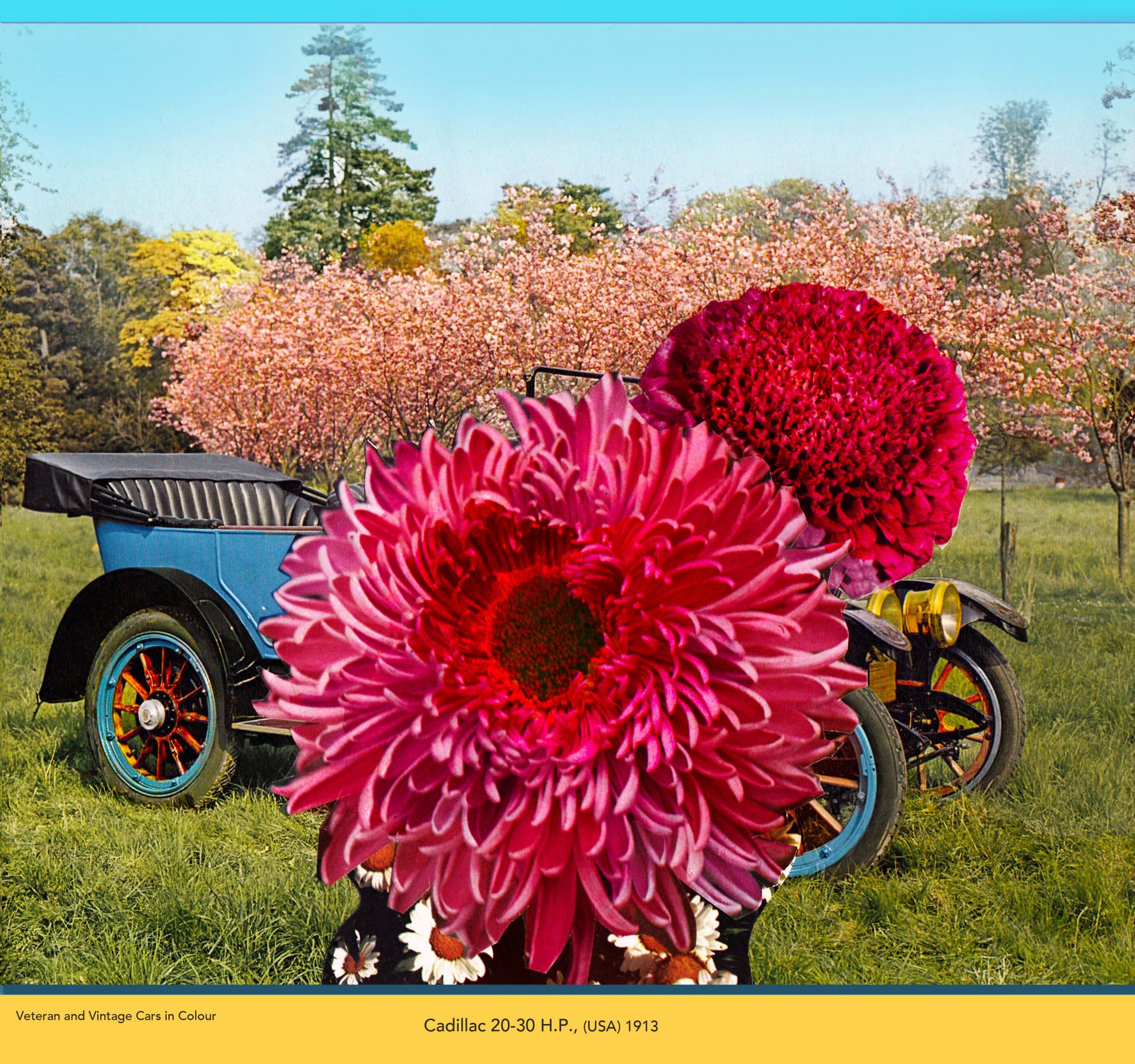 'Cadillac 20-30 HP' from 'Seasonal Veteran and Vintage Cars in Colour' by David Ferry