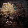 Calakmul-2020_Ian-Wilkinson_Mixed-Media-on-Canvas_61x61cm_£200