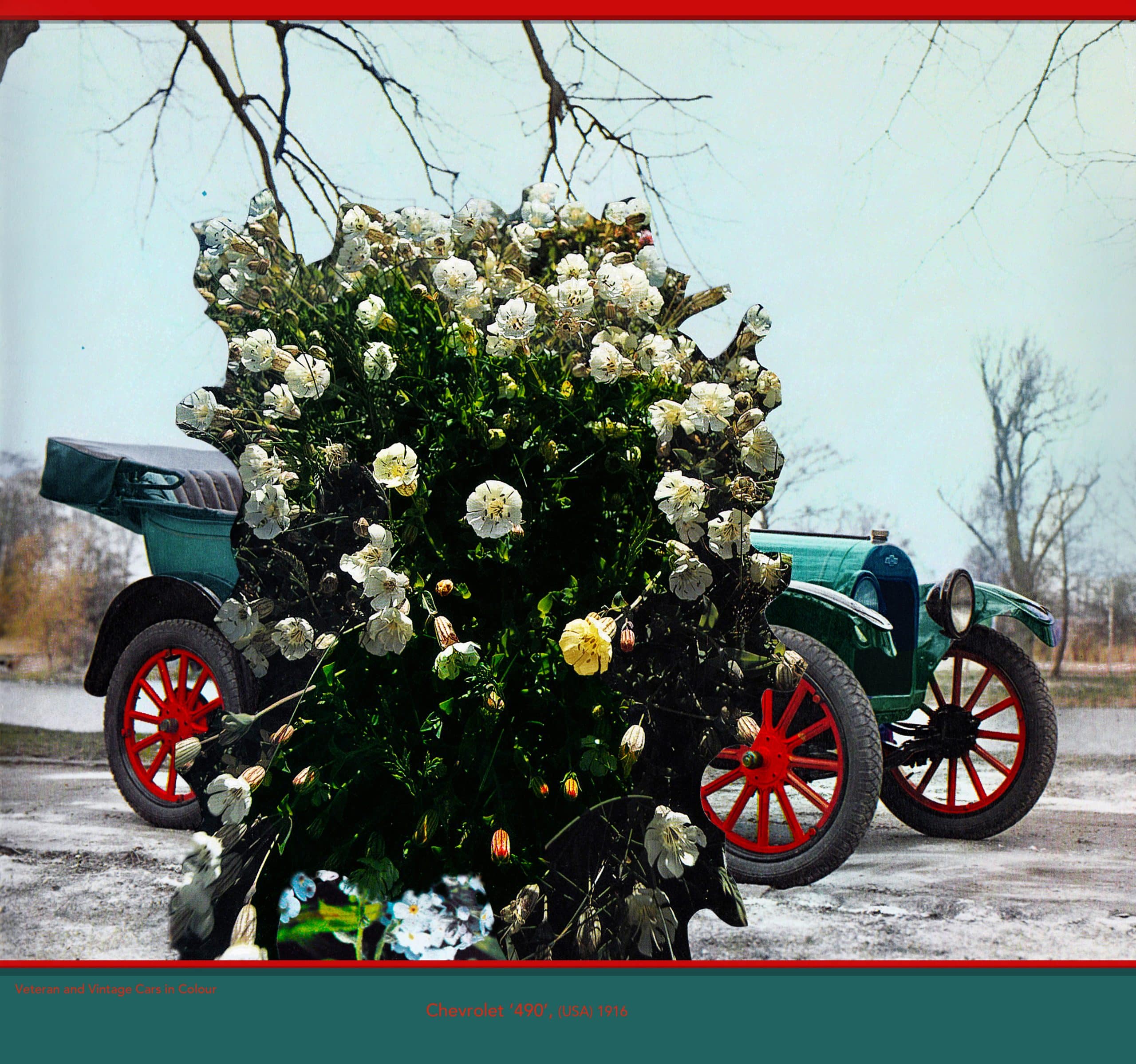'Chevrolet 490' from 'Seasonal Veteran and Vintage Cars in Colour' by David Ferry