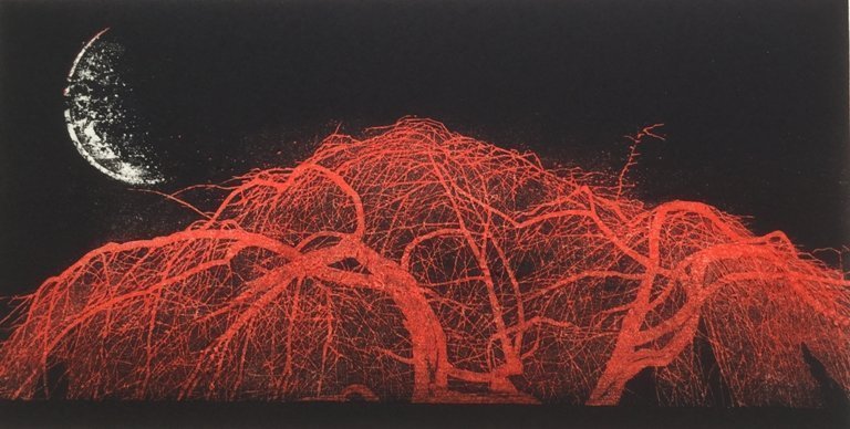 New Moon, Weeping Cherry Tree (red)