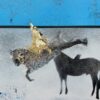 Stalking Horse_David Ferry