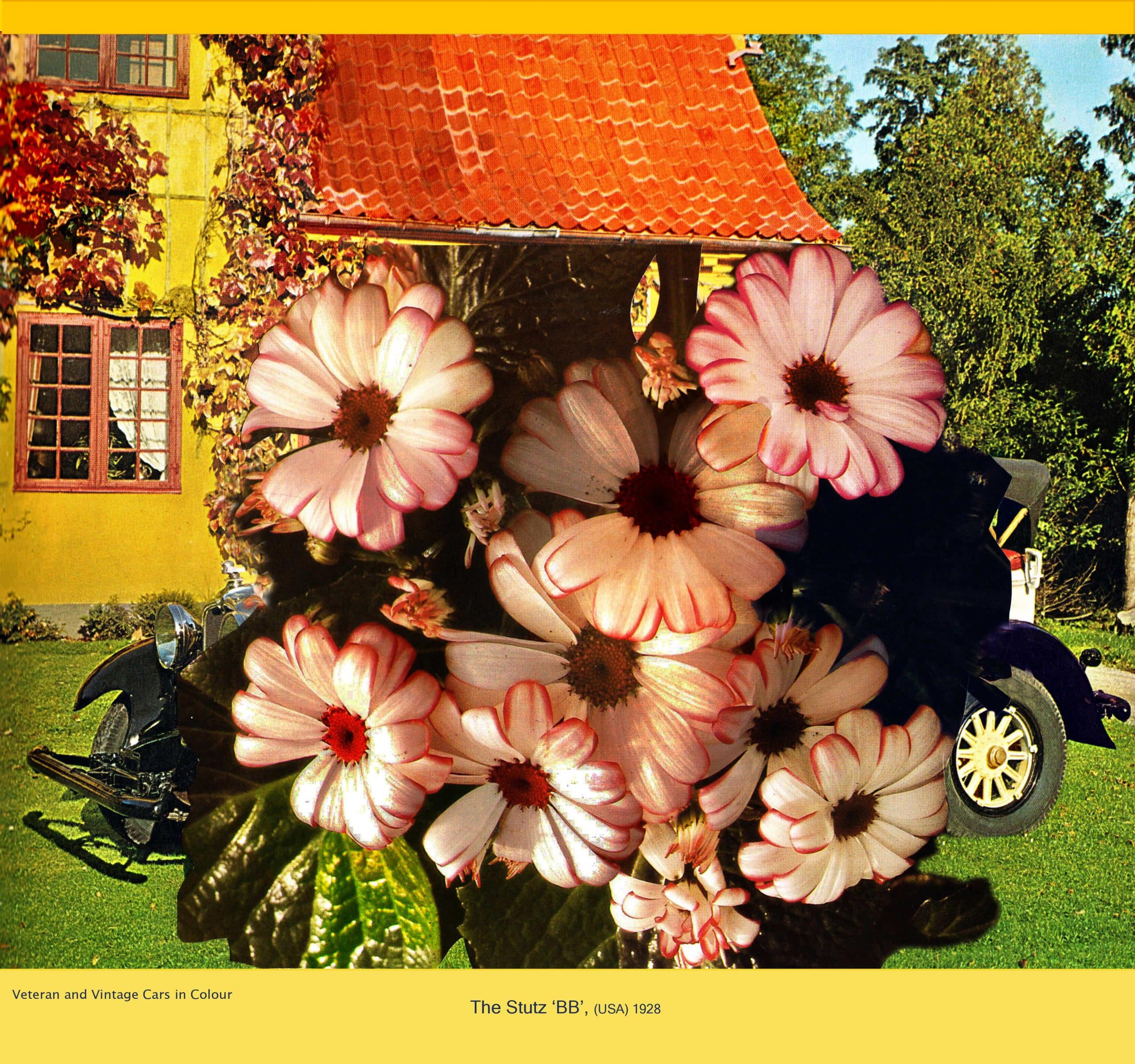 'The Stutz BB' from 'Seasonal Veteran and Vintage Cars in Colour' by David Ferry