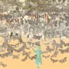 Vichy - The Butterfly Man